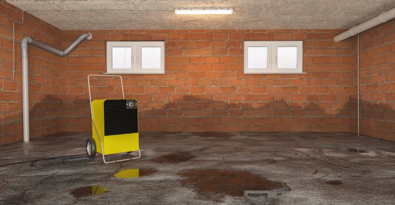 Basement Water Mitigation in Mesa, AZ