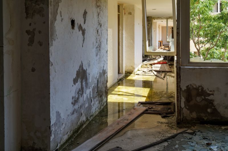 Storm Damage Cleanup in Chandler, AZ