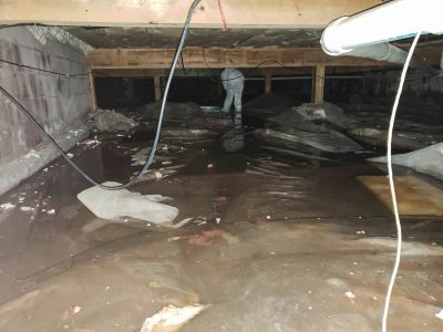Storm Damage Mitigation in Chandler, AZ