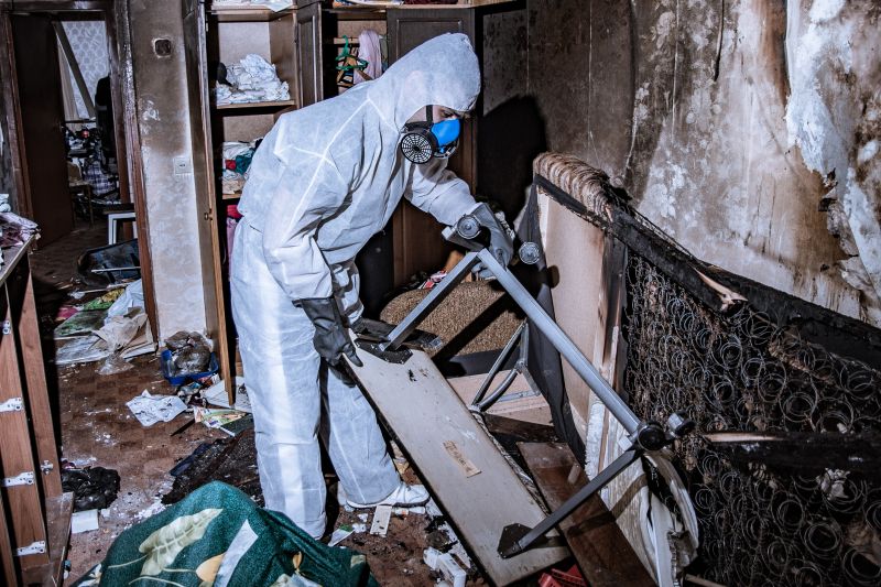 Top Rated Products for Fire Damage Removal
